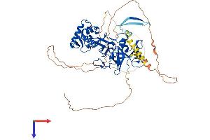 AlphaFold protein structure predicition of Human Recombinant MTF2 Protein, UniprotID Q9Y483