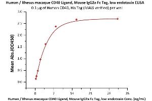 Immobilized Human CD40, His Tag (MALS verified) (ABIN2180793,ABIN2180792) at 1 μg/mL (100 μL/well) can bind Human / Rhesus macaque CD40 Ligand, Mouse IgG2a Fc Tag, low endotoxin (ABIN5954903,ABIN6253627) with a linear range of 0.