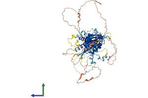 AlphaFold protein structure predicition of Human Recombinant HIF3A Protein, UniprotID Q9Y2N7