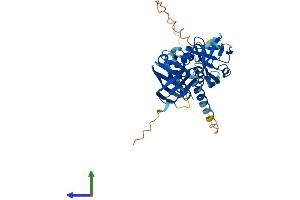AlphaFold protein structure predicition of Mouse Recombinant Aim2 Protein, UniprotID Q91VJ1