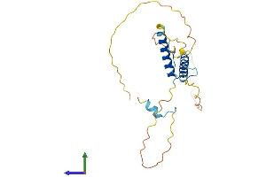 AlphaFold protein structure predicition of Mouse Recombinant Hand1 Protein, UniprotID Q64279