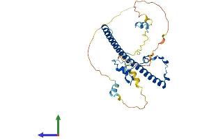 AlphaFold protein structure predicition of Mouse Recombinant Tef Protein, UniprotID Q9JLC6