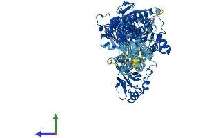 AlphaFold protein structure predicition of Human Recombinant ATP2A1 Protein, UniprotID O14983