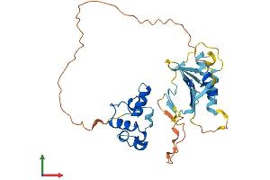 AlphaFold protein structure predicition of Human Recombinant PLK5 Protein, UniprotID Q496M5