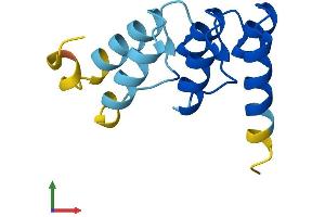 AlphaFold protein structure predicition of Human Recombinant NRARP Protein, UniprotID Q7Z6K4
