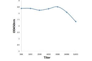 Antigen: 0. (ARFIP1 anticorps  (AA 255-373))