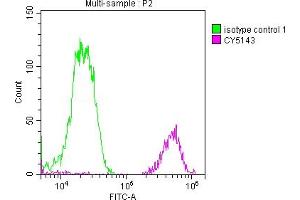 Overlay histogram showing Jurkat cells stained with ABIN7127503 (red line) at 1:50.