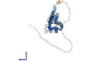 AlphaFold protein structure predicition of Mouse Recombinant Adipor2 Protein, UniprotID Q8BQS5