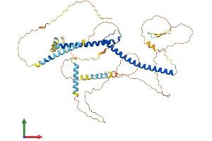 AlphaFold protein structure predicition of Mouse Recombinant Mitf Protein, UniprotID Q08874
