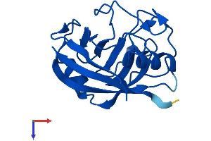 AlphaFold protein structure predicition of Human Recombinant PPIAL4A Protein, UniprotID Q9Y536