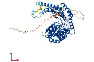AlphaFold protein structure predicition of Human Recombinant SPTLC2 Protein, UniprotID O15270