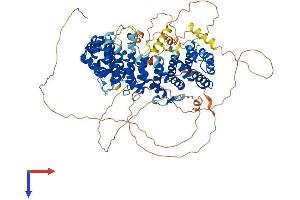 AlphaFold protein structure predicition of Mouse Recombinant Ppp6r1 Protein, UniprotID Q7TSI3
