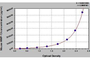Typical Standard Curve (MMP13 Kit ELISA)