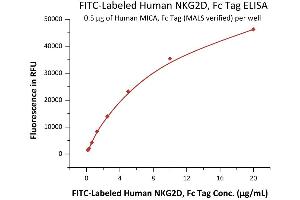 Immobilized Human MICA, Fc Tag (MALS verified) (ABIN6973157) at 5 μg/mL (100 μL/well) can bind Fed Human NKG2D, Fc Tag (ABIN6992333) with a linear range of 0. (KLRK1 Protein (AA 73-216) (Fc Tag,FITC))
