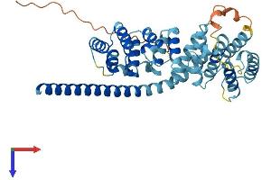 AlphaFold protein structure predicition of Human Recombinant MRPS27 Protein, UniprotID Q92552