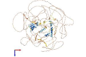 AlphaFold protein structure predicition of Mouse Recombinant Atxn2 Protein, UniprotID O70305