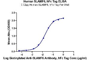 Immobilized Human SLAMF6, hFc Tag at 0. (SLAMF6 Protein (AA 22-226) (Fc Tag))