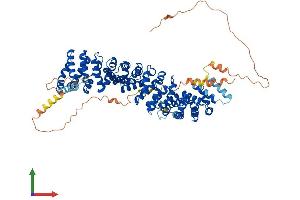AlphaFold protein structure predicition of Mouse Recombinant Jup Protein, UniprotID Q02257