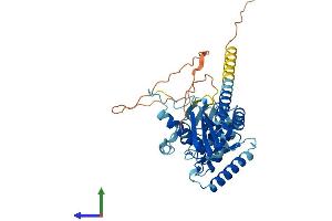 AlphaFold protein structure predicition of Human Recombinant RRAGD Protein, UniprotID Q9NQL2
