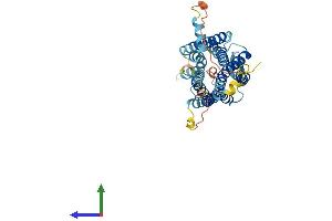 AlphaFold protein structure predicition of Human Recombinant AVPR2 Protein, UniprotID P30518