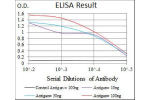 ELISA image for anti-Inner Centromere Protein Antigens 135/155kDa (INCENP) (AA 369-583) antibody (ABIN1844019)