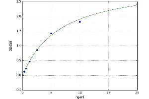 Early Growth Response 2 (EGR2) ELISA Kit