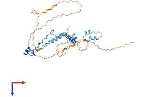 AlphaFold protein structure predicition of Human Recombinant PINX1 Protein, UniprotID Q96BK5