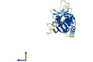 AlphaFold protein structure predicition of Mouse Recombinant Kctd4 Protein, UniprotID Q9D7X1