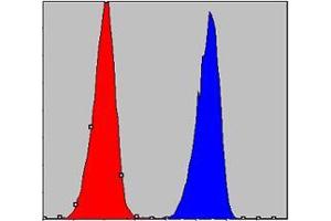 Flow cytometric analysis of A549 cells using CHUK mouse mAb (blue) and negative control (red).