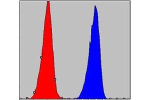 Flow cytometric analysis of A549 cells using CHUK mouse mAb (blue) and negative control (red). (IKK alpha anticorps)