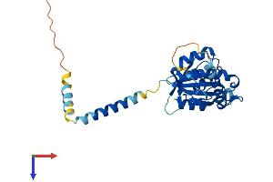 AlphaFold protein structure predicition of Mouse Recombinant Srprb Protein, UniprotID P47758