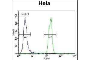 SUMO1 Antibody (N-term E67) (ABIN1882137 and ABIN2845494) flow cytometric analysis of Hela cells (right histogram) compared to a negative control cell (left histogram). (SUMO1 anticorps  (N-Term))