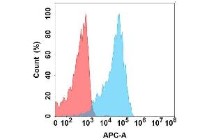 Flow cytometry analysis with Anti-LI on Expi293 cells transfected with human LI (Blue histogram) or Expi293 transfected with irrelevant protein (Red histogram).
