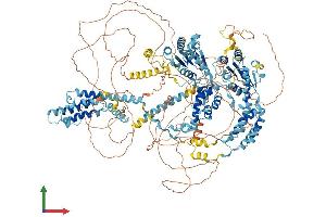 AlphaFold protein structure predicition of Human Recombinant ATAD2 Protein, UniprotID Q6PL18