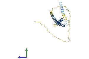 AlphaFold protein structure predicition of Human Recombinant MXD1 Protein, UniprotID Q05195