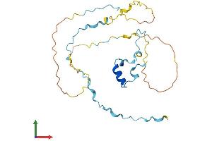 AlphaFold protein structure predicition of Human Recombinant RHNO1 Protein, UniprotID Q9BSD3