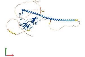 AlphaFold protein structure predicition of Human Recombinant PSPC1 Protein, UniprotID Q8WXF1