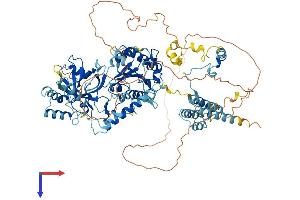 AlphaFold protein structure predicition of Mouse Recombinant Ints6 Protein, UniprotID Q6PCM2