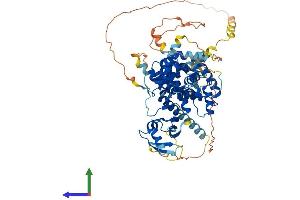 AlphaFold protein structure predicition of Mouse Recombinant Arhgap18 Protein, UniprotID Q8K0Q5