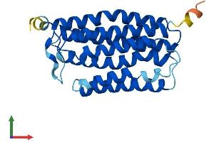 AlphaFold protein structure predicition of Human Recombinant MMD Protein, UniprotID Q15546
