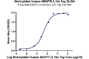 Immobilized Anti-ANGPTL3 Antibody, hFc Tag at 1 μg/mL (100 μL/well) on the plate.