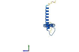 AlphaFold protein structure predicition of Human Recombinant TIMM8A Protein, UniprotID O60220