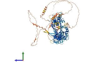 AlphaFold protein structure predicition of Human Recombinant TJP3 Protein, UniprotID O95049