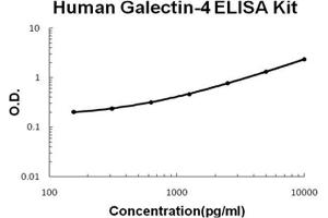 Human Galectin-4 PicoKine ELISA Kit standard curve (GAL4 Kit ELISA)