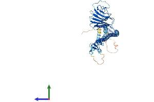 AlphaFold protein structure predicition of Human Recombinant TRIM7 Protein, UniprotID Q9C029