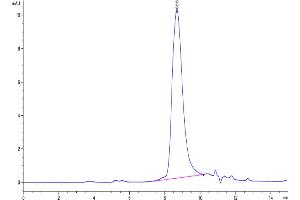 The purity of Biotinylated Human DLL3 is greater than 95 % as determined by SEC-HPLC.