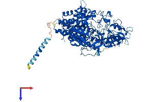 AlphaFold protein structure predicition of Mouse Recombinant Naaladl1 Protein, UniprotID Q7M758