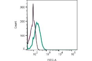 Cell surface detection of DPP10 by indirect flow cytometry in human Jurkat T-cell leukemia cell line: + Cells + goat-anti-rabbit-FITC. (DPP10 anticorps  (Extracellular))