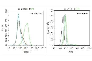 HL-60 (Positive) and huvec (Negative control) cells (black) were incubated in 5% BSA blocking buffer for 30 min at room temperature.