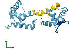 AlphaFold protein structure predicition of Mouse Recombinant Cabp5 Protein, UniprotID Q9JLK3